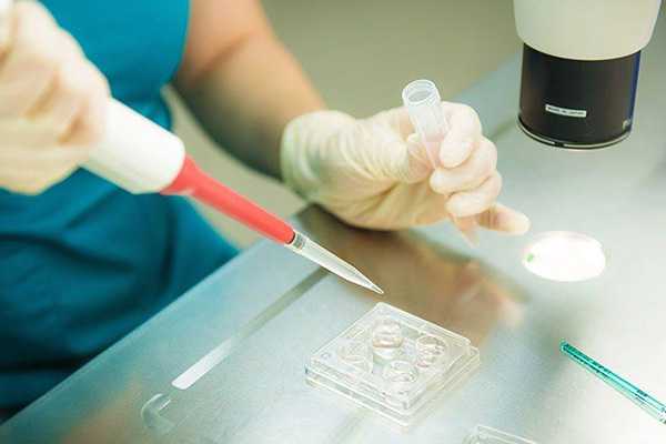 鲜胚移植验血报告多久能拿到？